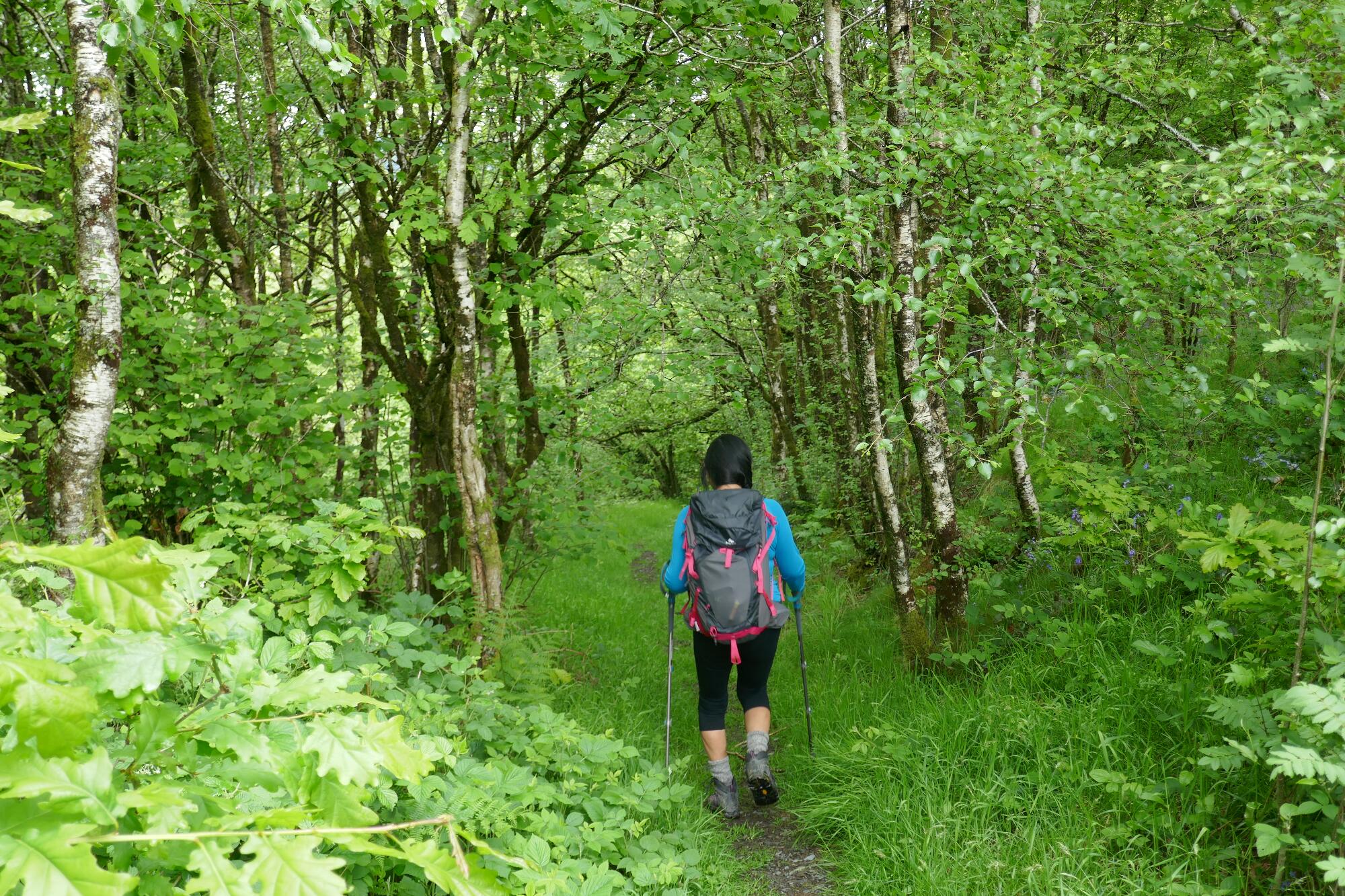 RachelSeabrook.net | Wild Walking | Devils-Bridge; pic11